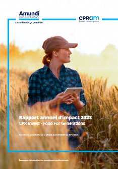 Rapport d'impact